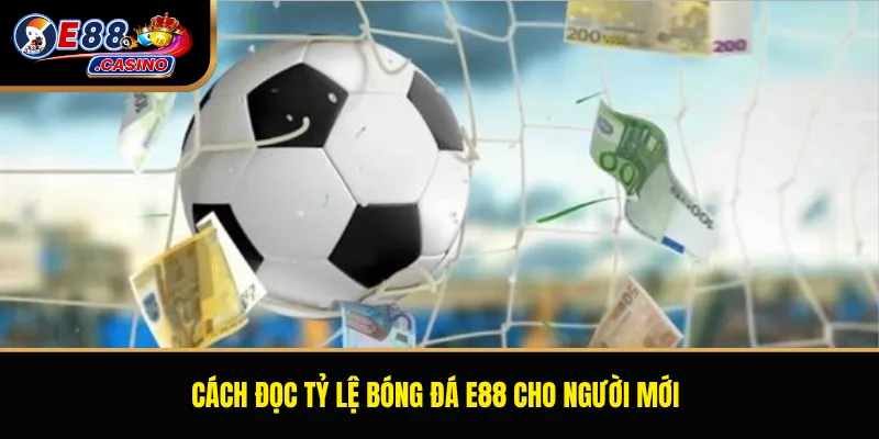 Cách đọc tỷ lệ bóng đá E88 cho người mới