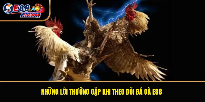 Những lỗi thường gặp khi theo dõi đá gà E88