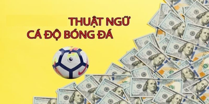 Các thuật ngữ cá độ bóng đá phổ biến nhất