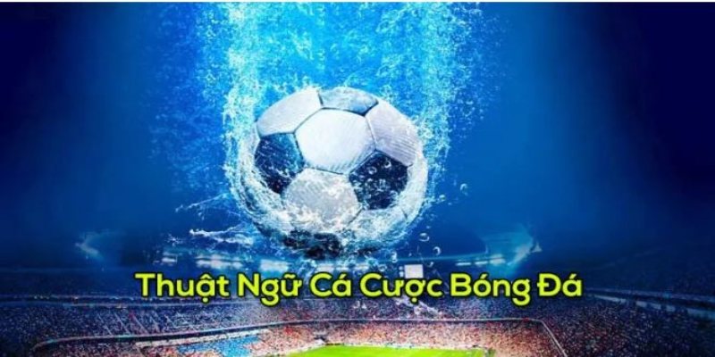 Thuật ngữ cá độ bóng đá kèo châu Âu