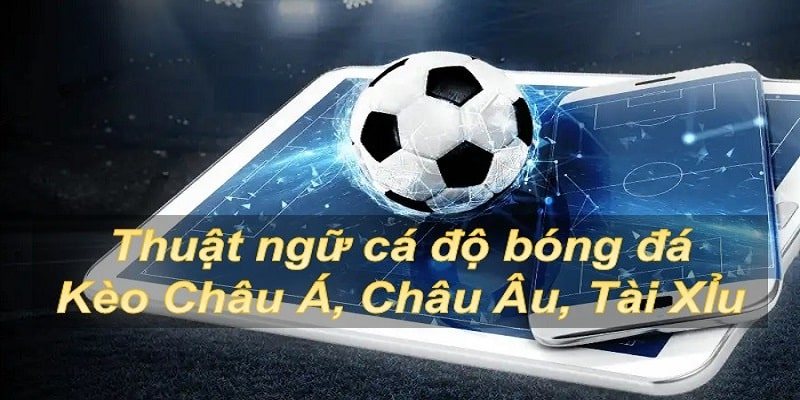 Thuật ngữ cá độ bóng đá tại E88